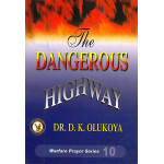 The Dangerous Highway
